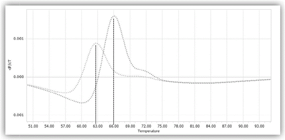 Typing detection kit for FK506 personalized medication related genes