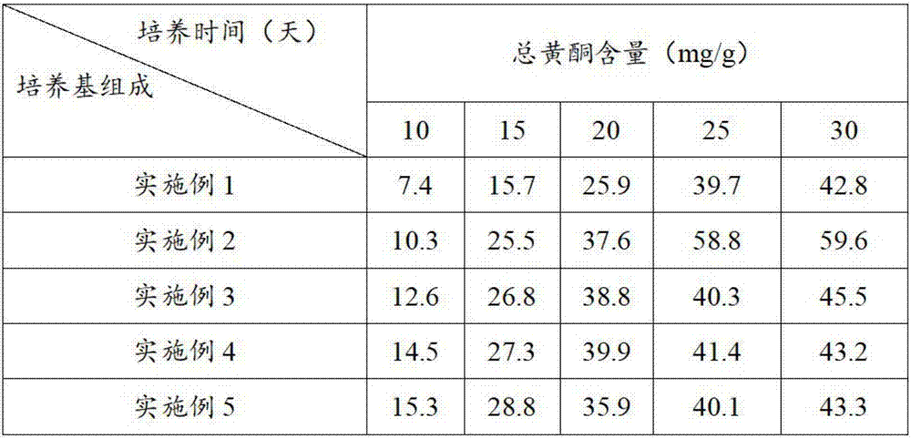 Phellinus linteus solid culture as well as preparation method and application thereof