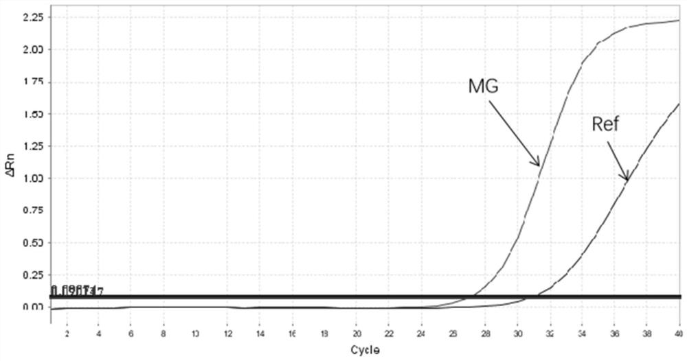 Mycoplasma genitalium nucleic acid real-time fluorescence PCR detection primer, probe and kit