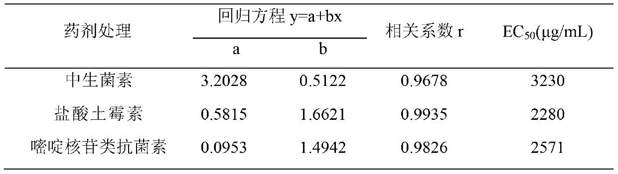 Liquid formulation for trunk injection, used for preventing and curing kiwifruit canker