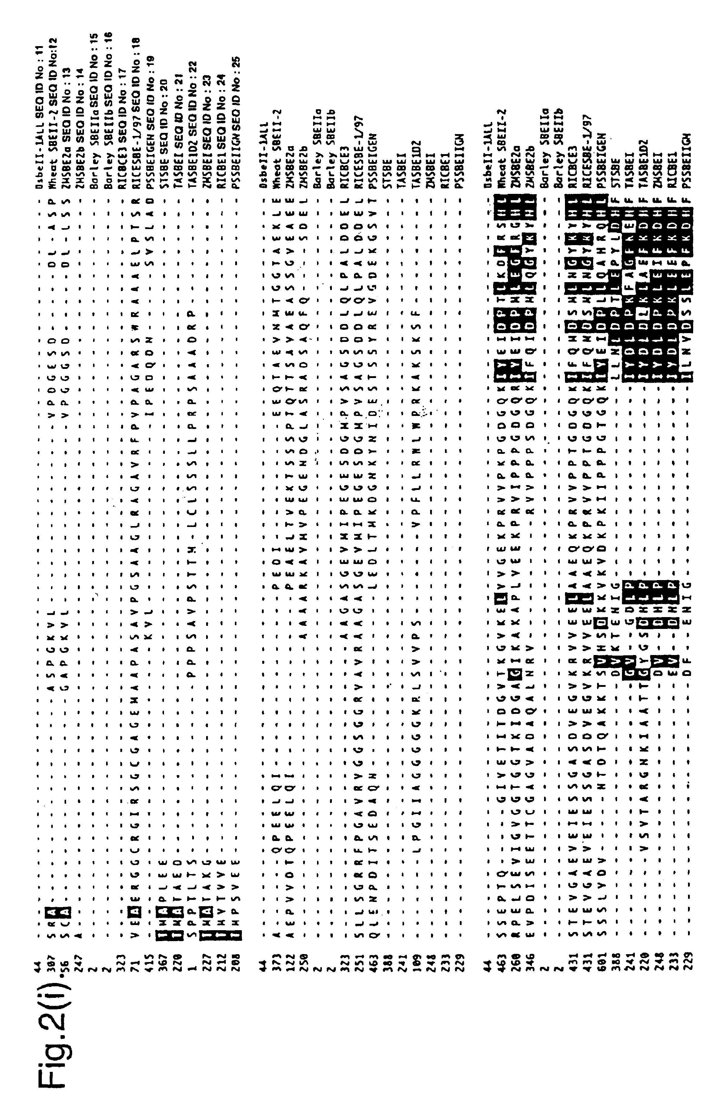 Isoforms of starch branching enzyme II (SBE-IIa and SBE-IIb) from wheat