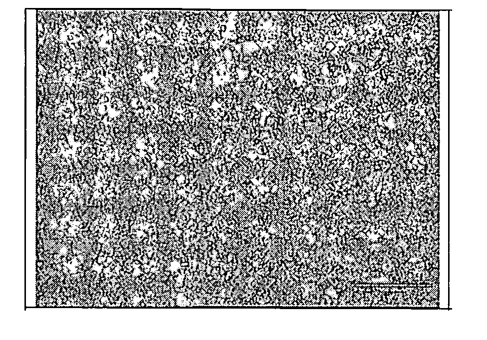 Method of making a fine grained cemented carbide