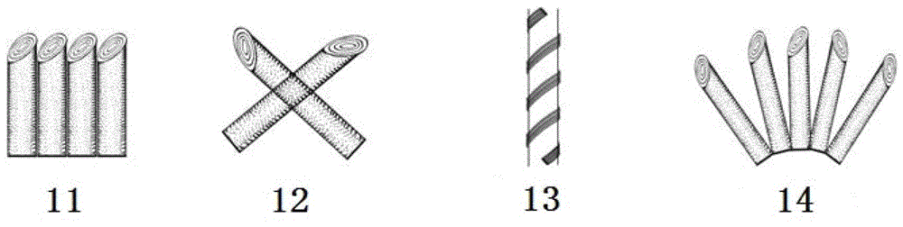 A method of docking and shaping the trunks of Lagerstroemia genus Lagerstroemia genus