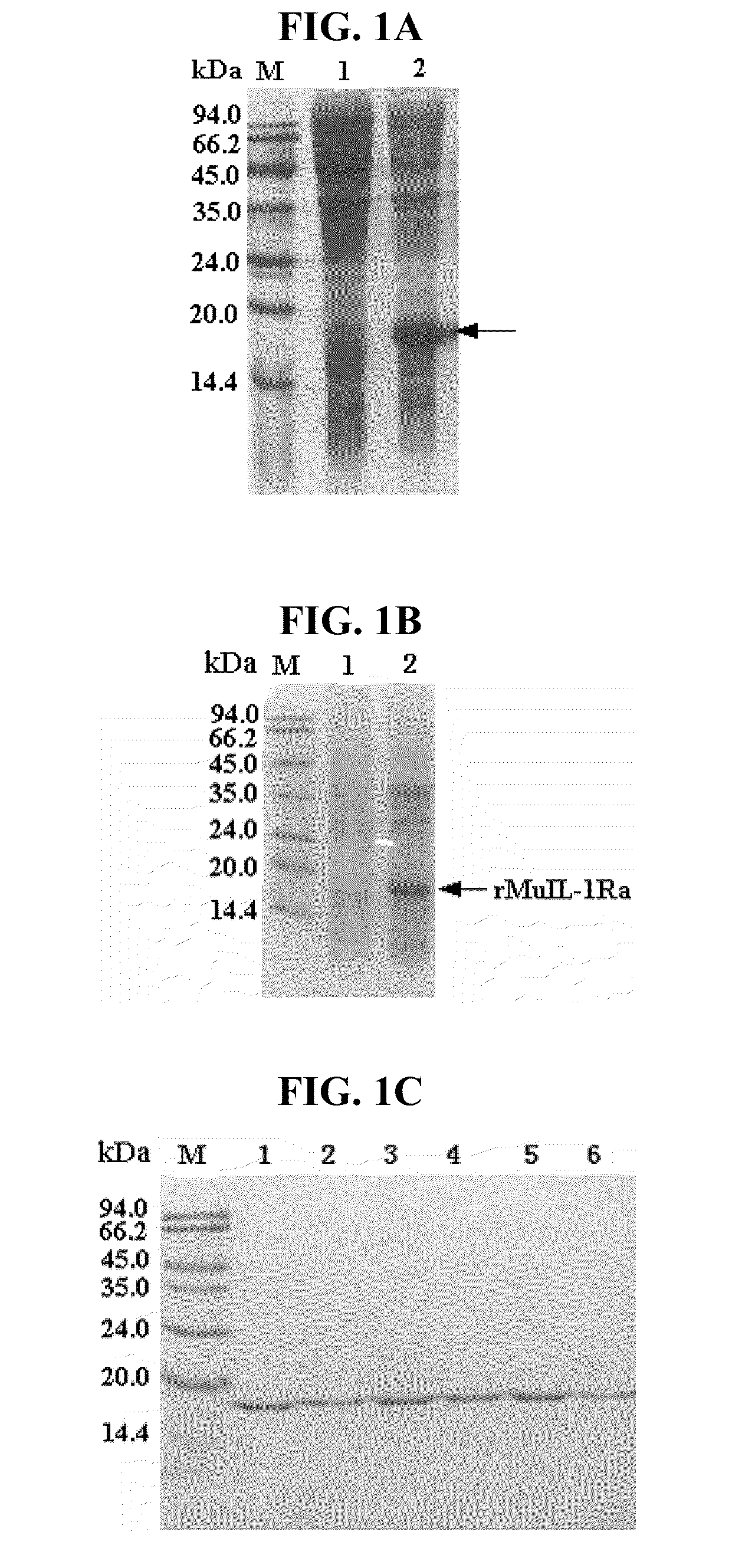 Methods of using interleukin-1 receptor antagonist as a myeloprotective agent