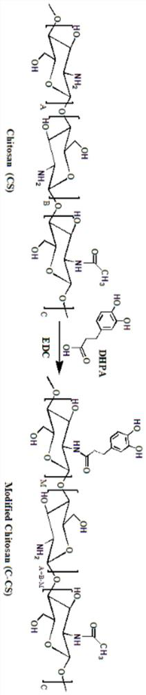 A kind of hydrogel with ROS response and its preparation method and application