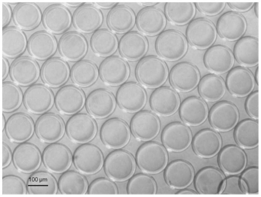 A method for cryopreservation of micro-sperm