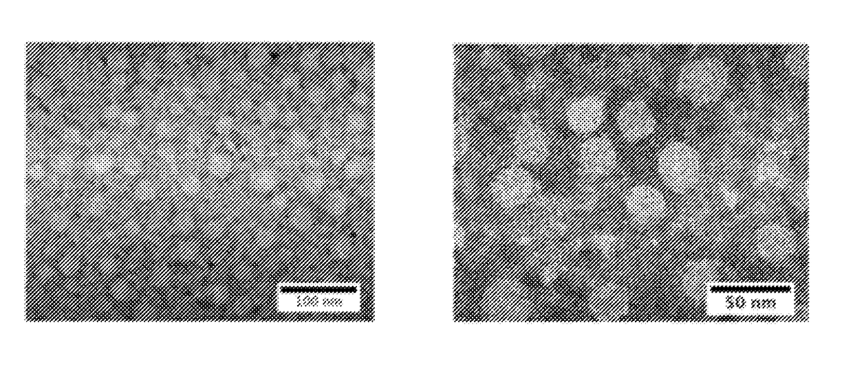 Stealth nanocapsules for protein delivery