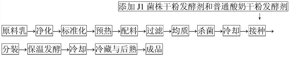 Lactobacillus casei capable of reducing cholesterol and method for producing probiotic yogurt from same