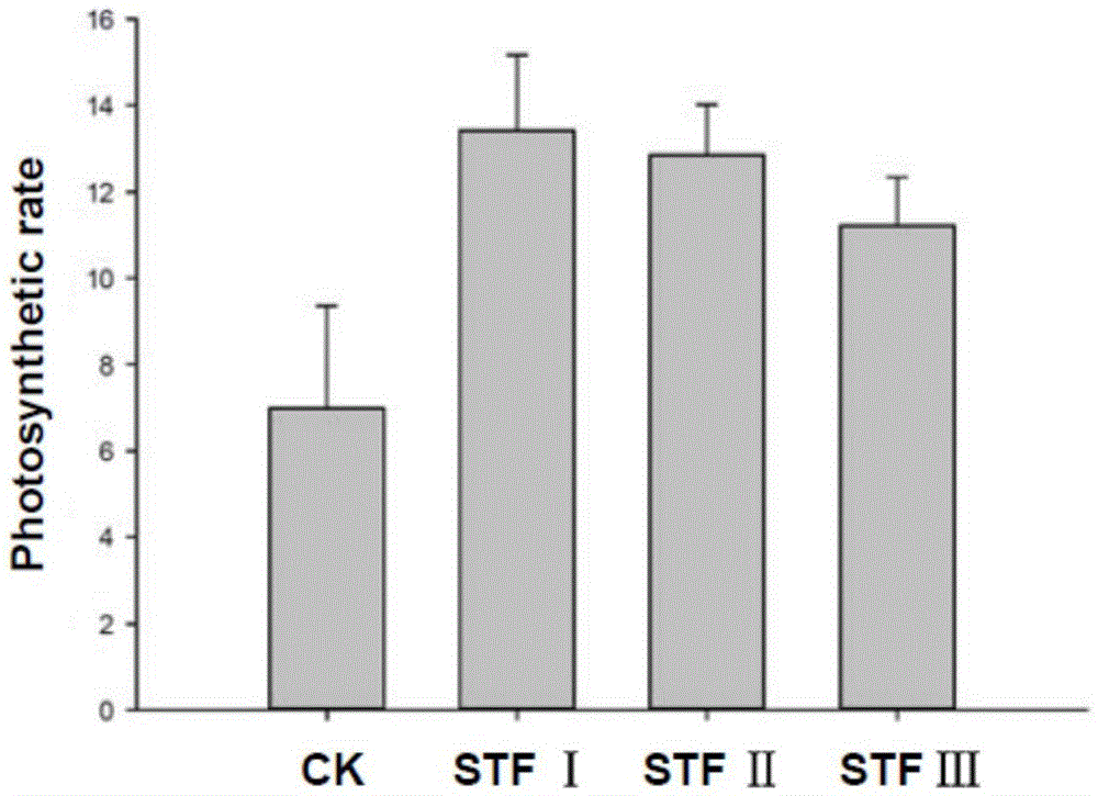 Medicago truncatula leaf development regulatory gene STF, encoding protein and application of encoding protein