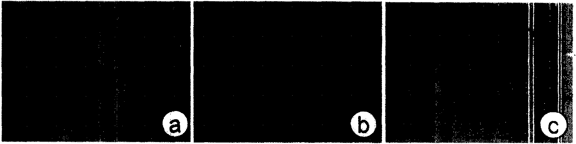 Compound all-trans retinoic acid cream and its preparation method and application