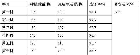 Landscape tree cultivation method applicable to saline-alkali soil