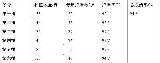 Landscape tree cultivation method applicable to saline-alkali soil