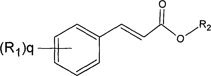 Slow release long-acting rasagiline transdermal patch with high bioavailability and preparation method thereof