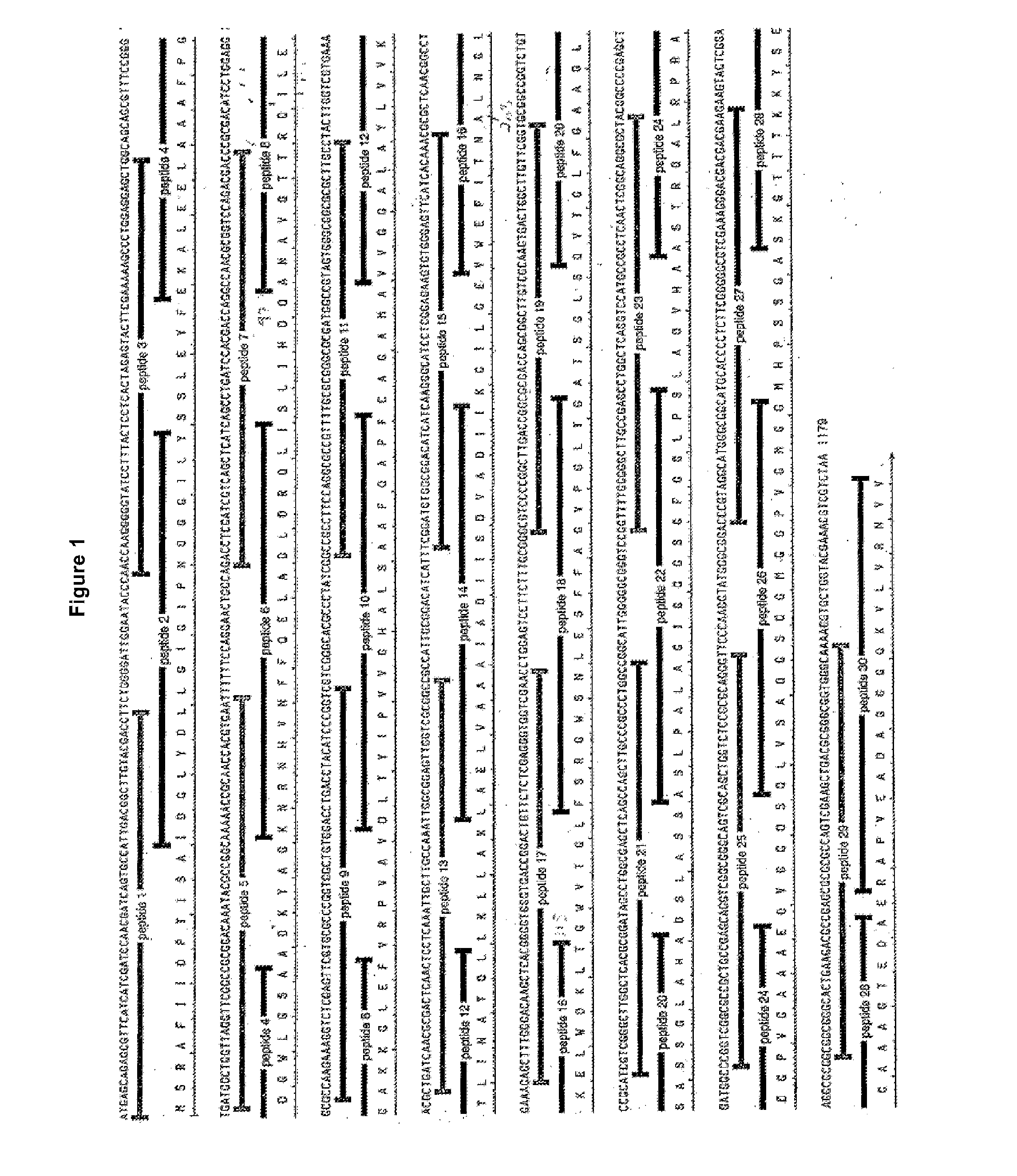 Modified tuberculosis antigens