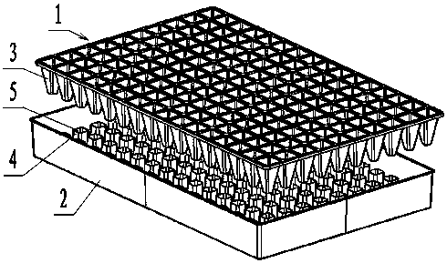 A combined floating seedling tray