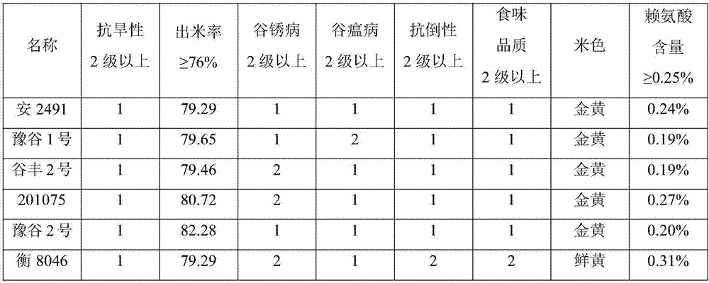 Breeding method of drought-resistant high quality millets