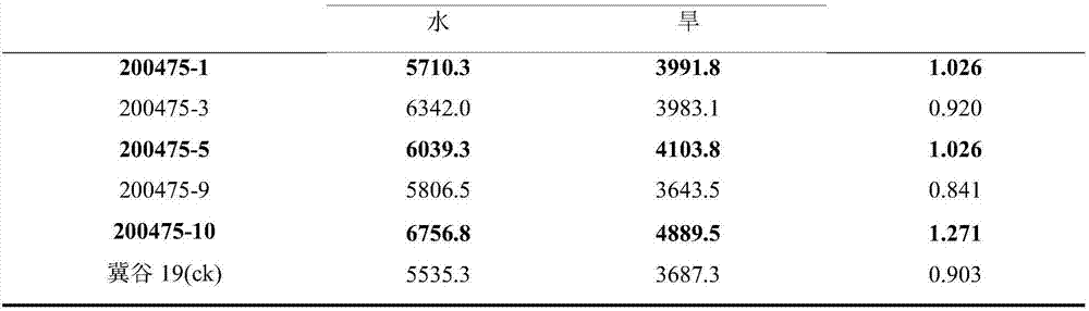 Breeding method of drought-resistant high quality millets