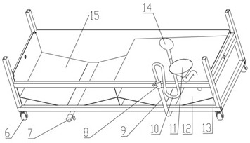 Washing care device for paralyzed patients