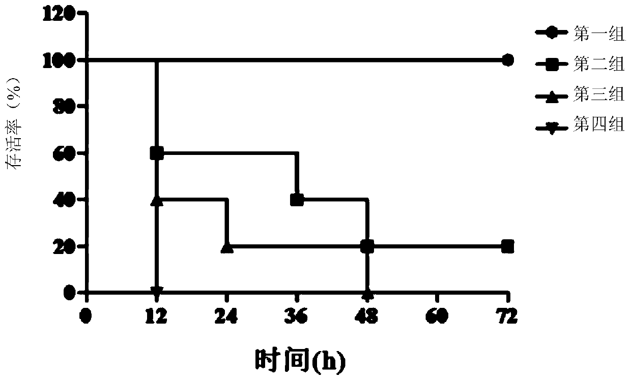 Monoclonal antibody YG11-1 of anti-staphylococcus aureus enterotoxin B and applications of antibody