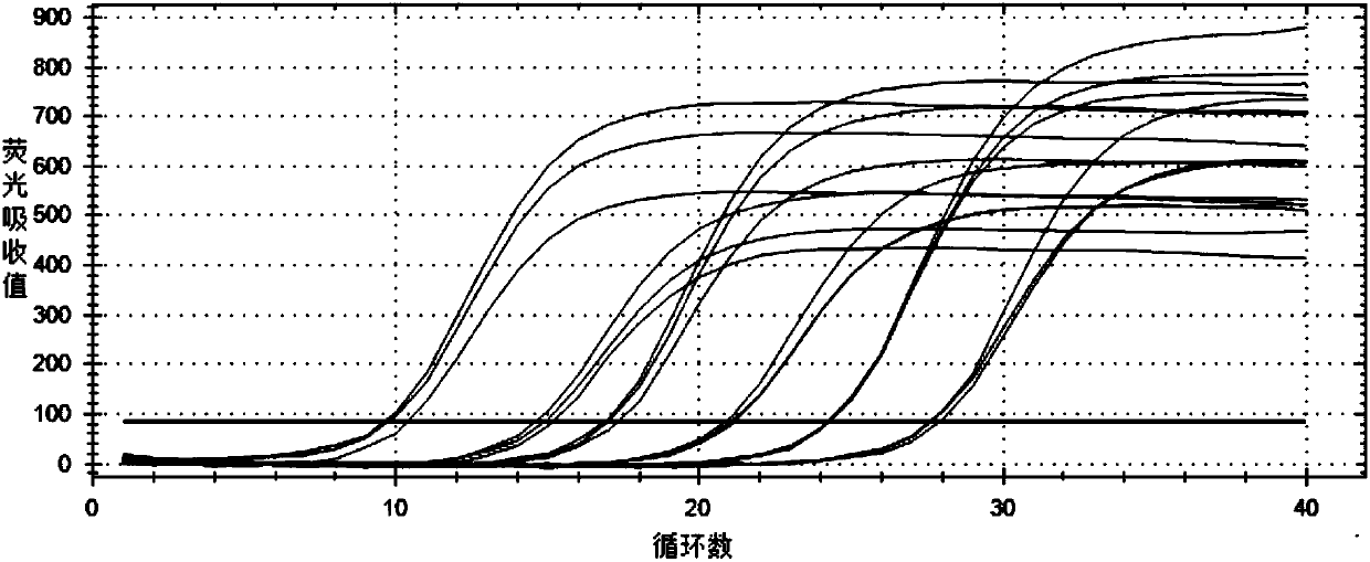 A kind of primer and quantitative detection method for detecting Neosphingosine resiniferous bacteria