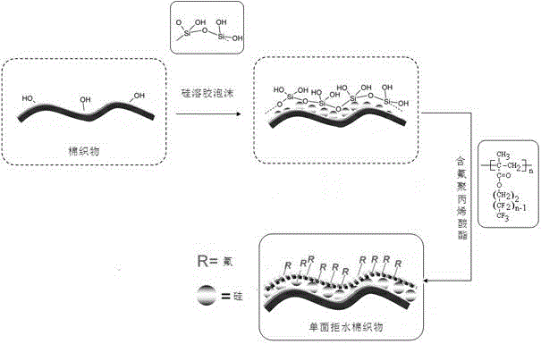 Arranging method of single-faced super-hydrophobic cotton fabrics