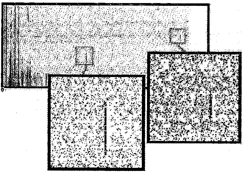 Radar image based moving target morphology detecting and tracking method