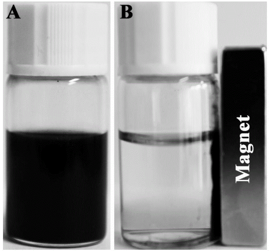 MRI (magnetic resonance imaging)-guided targeted photo-thermal agent and preparation method of chemotherapeutic system of MRI-guided targeted photo-thermal agent