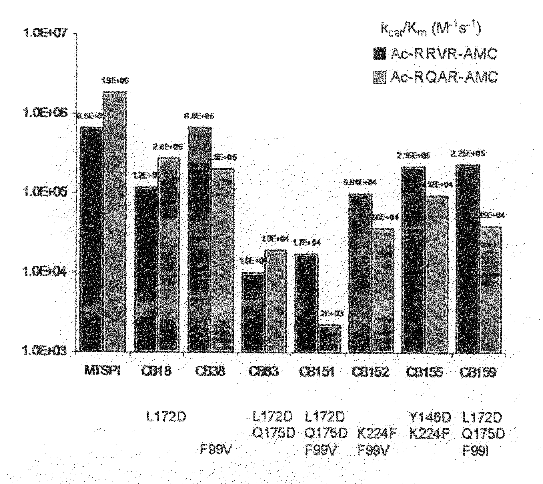 Cleavage of VEGF and VEGF receptor by wildtype and mutant MT-SP1