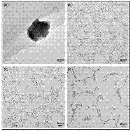 Surface modification method for cerium nano-particles