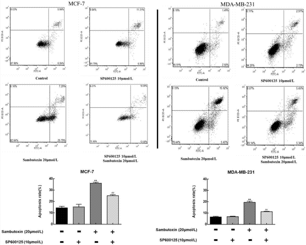 Application of 4-hydroxyl-2-pyridone alkaloid in preparing antitumor product