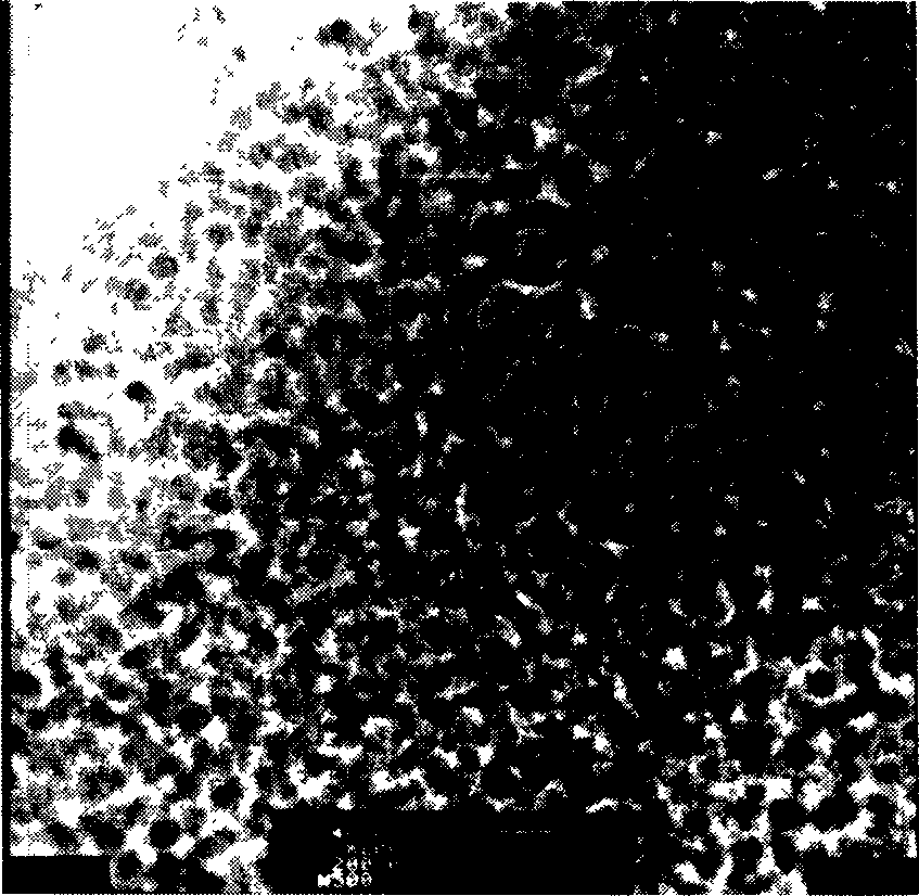 Active carbon fiber containing nano titanium dioxide particles and its preparation method and uses