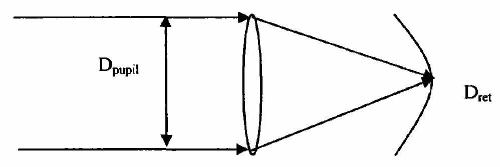 Light damage measurement instrument based on relationship between pupil size and ambient brightness