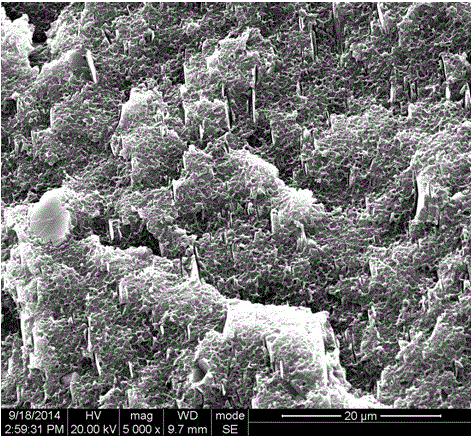 High-performance mineral-filled PC/ABS alloy material and preparation method thereof