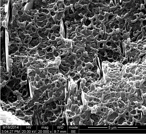 High-performance mineral-filled PC/ABS alloy material and preparation method thereof