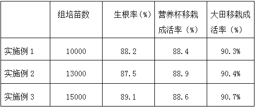 A method for tissue culture and rapid propagation of Xianwang jujube