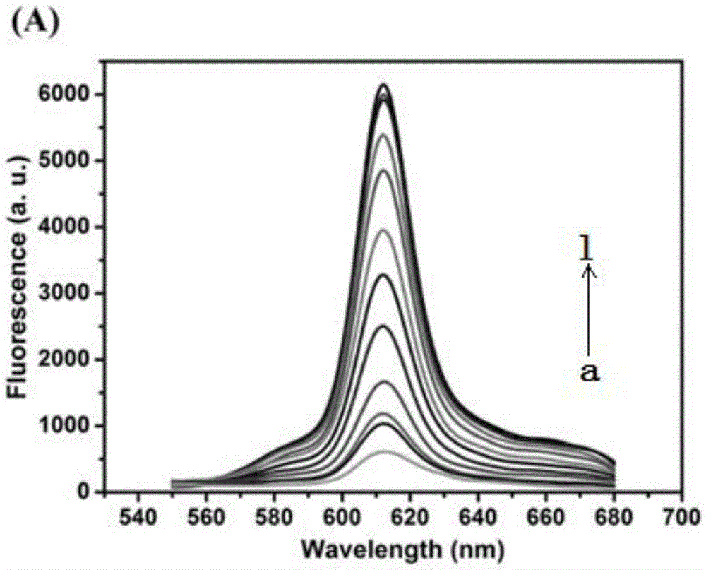 Cascade amplifying-strategy biomolecule detecting method based on self-locking aptamer probe