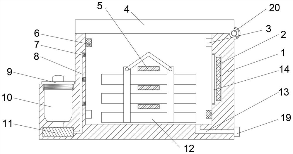 Culture device for masson pine strains