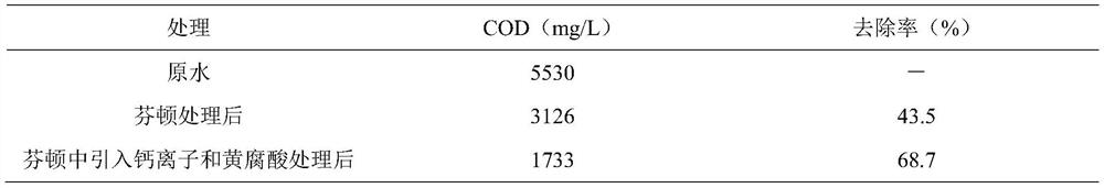 A controlled approach to promote Fenton oxidation mediated by complexes of calcium and organic acids