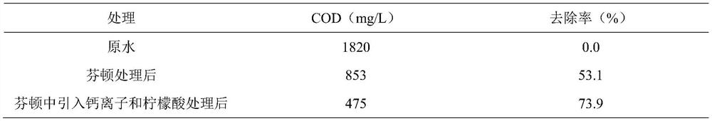 A controlled approach to promote Fenton oxidation mediated by complexes of calcium and organic acids