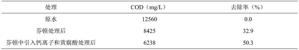 A controlled approach to promote Fenton oxidation mediated by complexes of calcium and organic acids