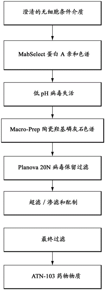 Single domain antigen combined molecule purifying method