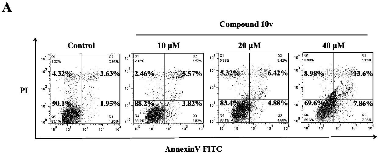 Trimethoxyflavone salicylic acid derivative and antitumor activity thereof