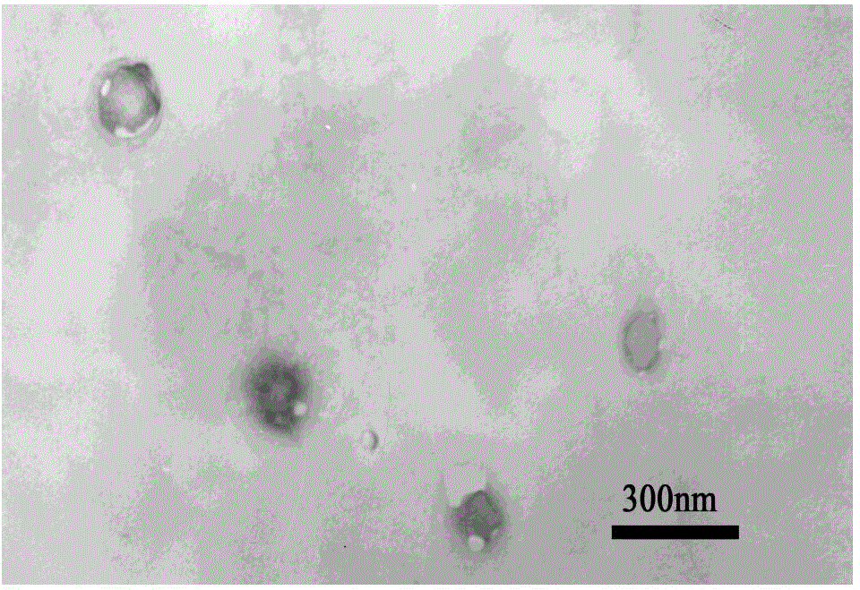 Vesicle oil displacement agent formed from gemini surfactant, and applications of vesicle oil displacement agent in crude oil recovery rate increase