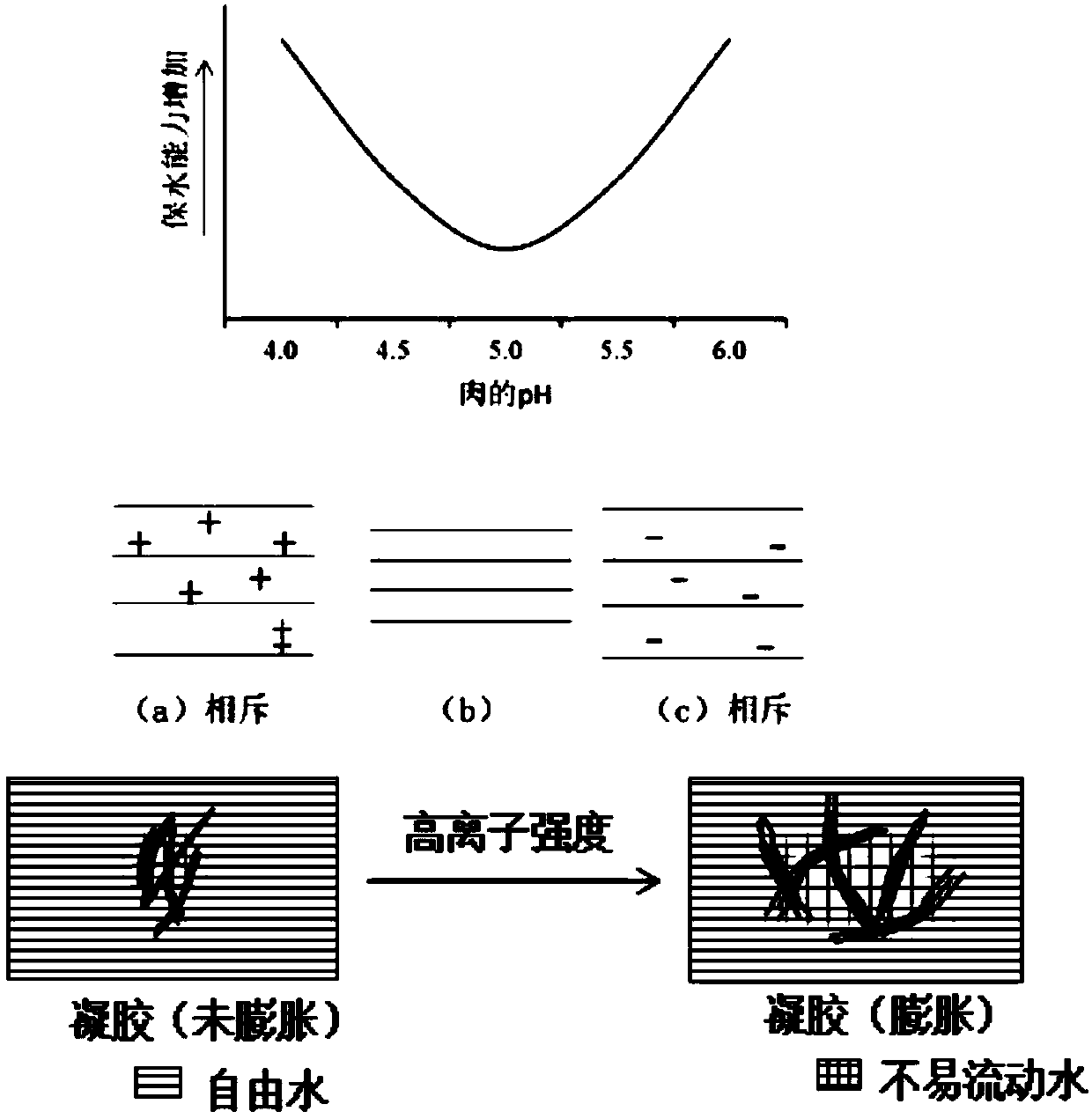 Compound water retaining agent capable of improving bullfrog quality and application method of compound water retaining agent