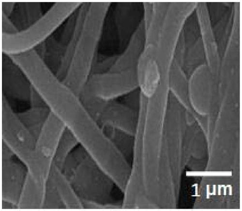 Bismuth phosphorus sulfur/carbon composite nanofiber negative electrode material for sodium-ion battery, preparation method of bismuth phosphorus sulfur/carbon composite nanofiber negative electrode material and sodium-ion battery