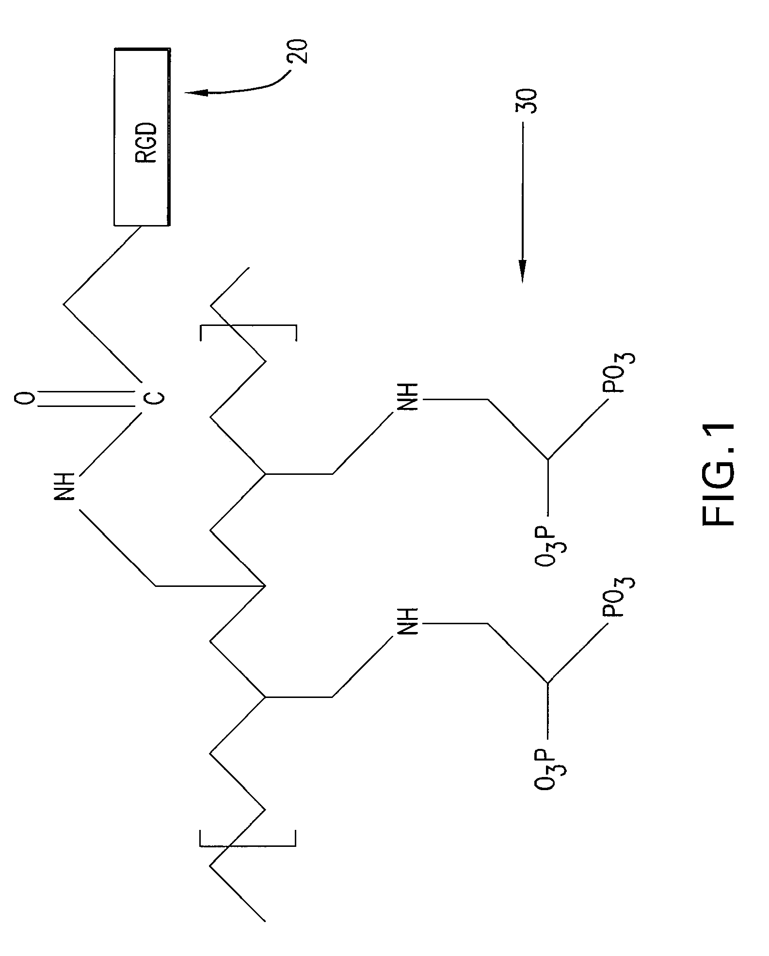 Medical devices having a coating for promoting endothelial cell adhesion