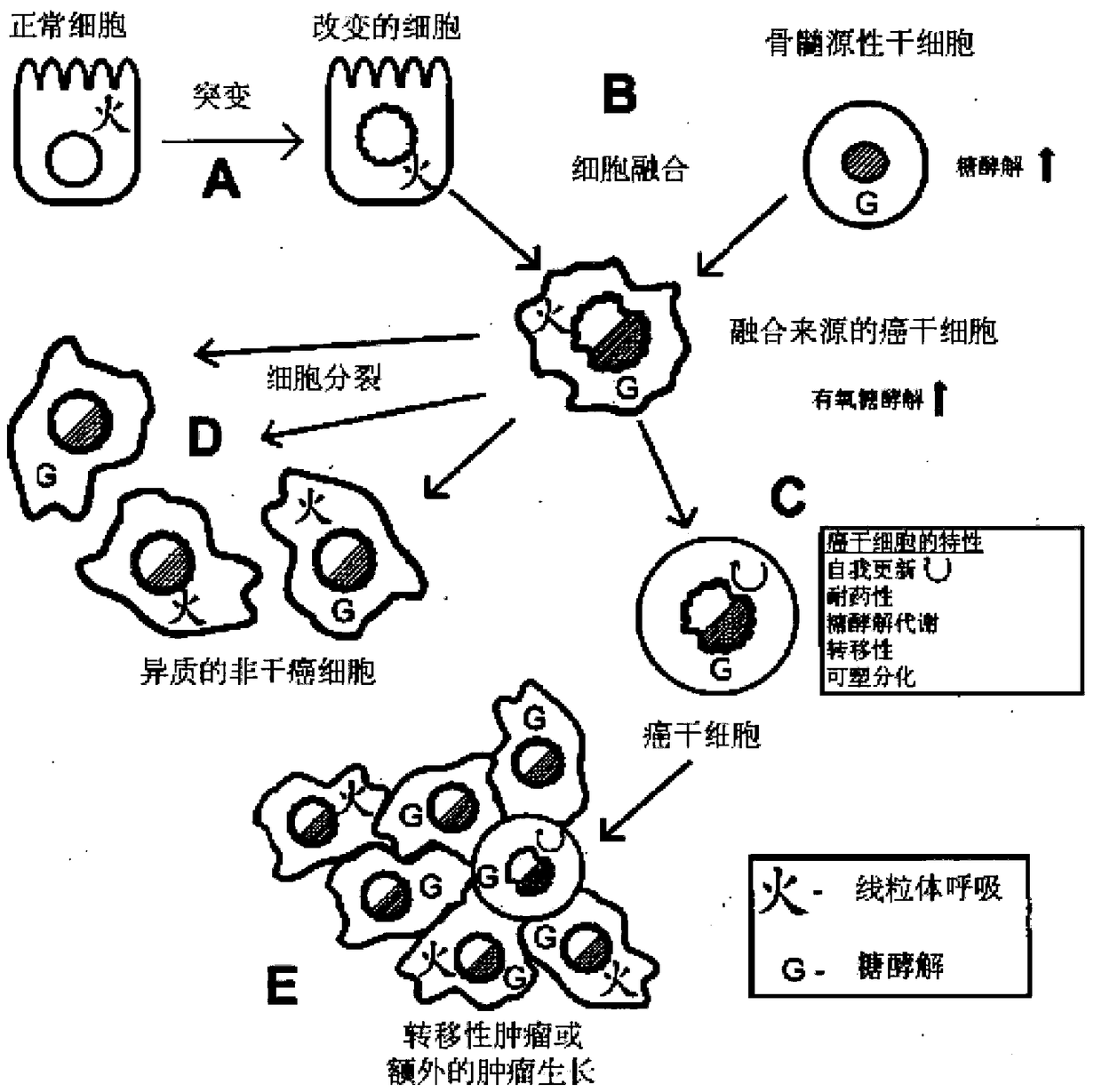 Metabolic targeting of cancer cells using chemotherapy and immunotherapy for the treatment of cancer