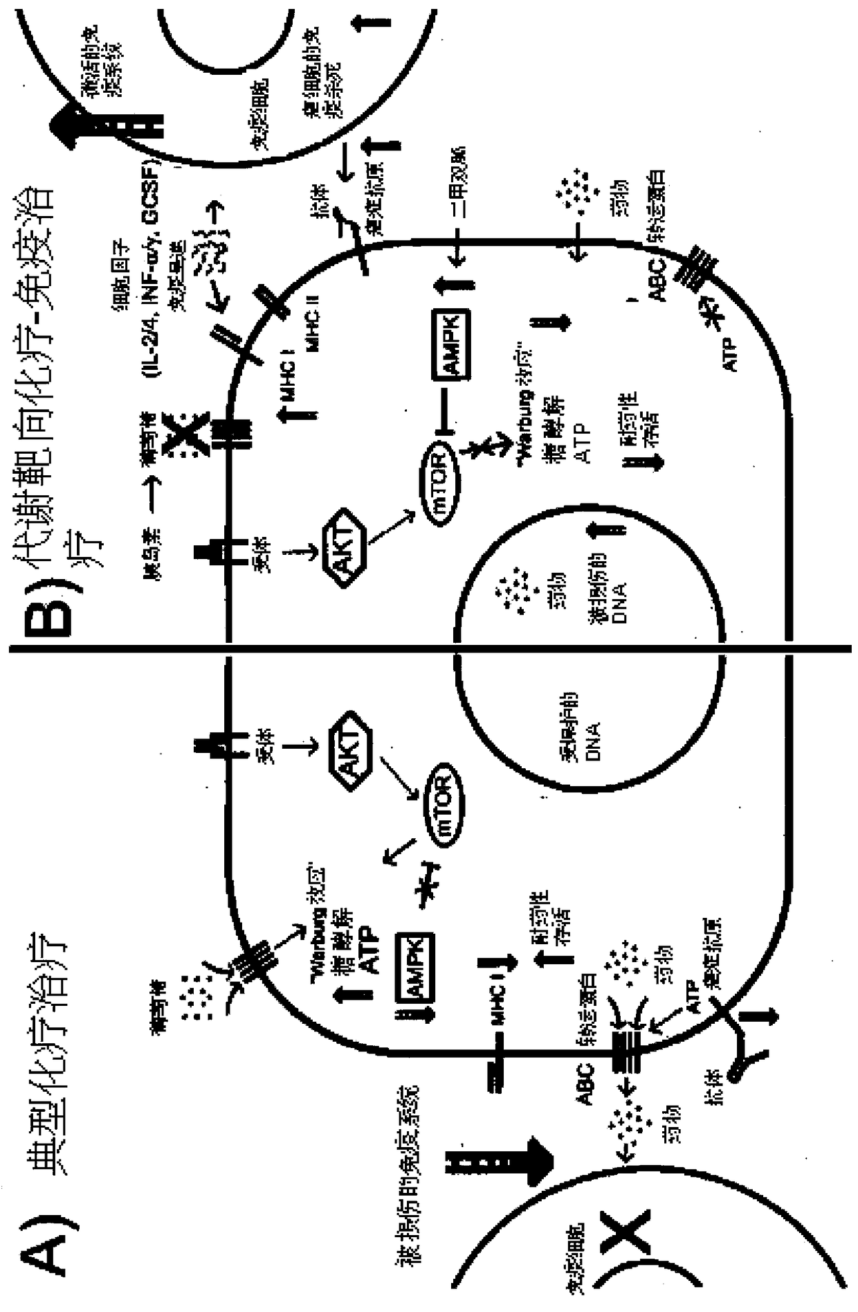 Metabolic targeting of cancer cells using chemotherapy and immunotherapy for the treatment of cancer