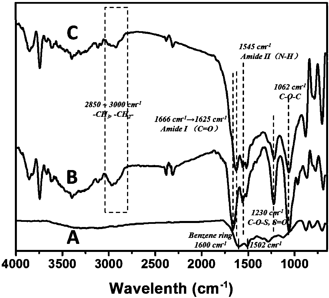 A kind of preparation method of copper ion chelating type nano particle biological coating