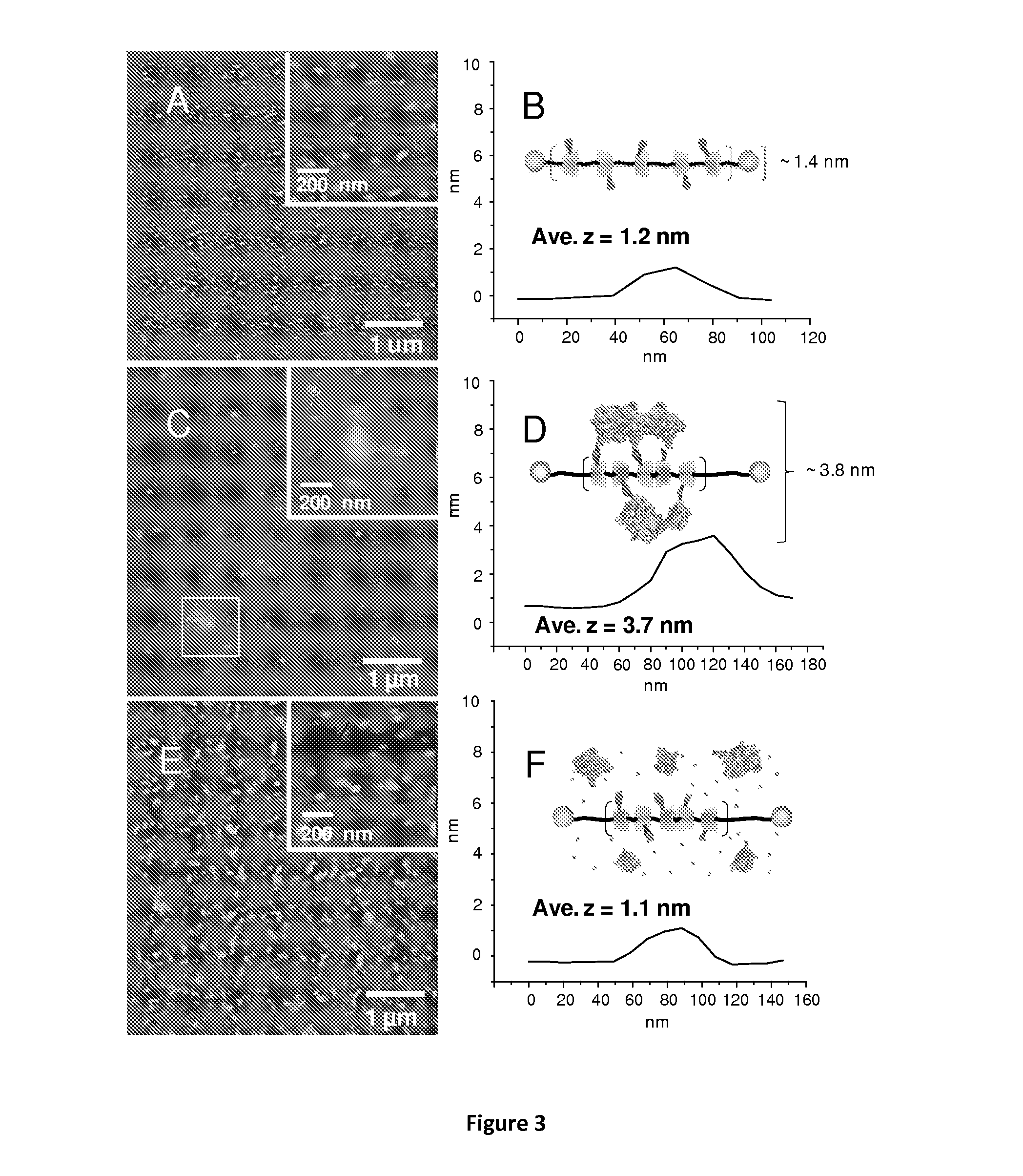 Polyrotaxanes and uses thereof